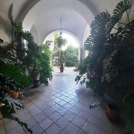 La Casa Delle Camelie Hotel Meta Eksteriør billede