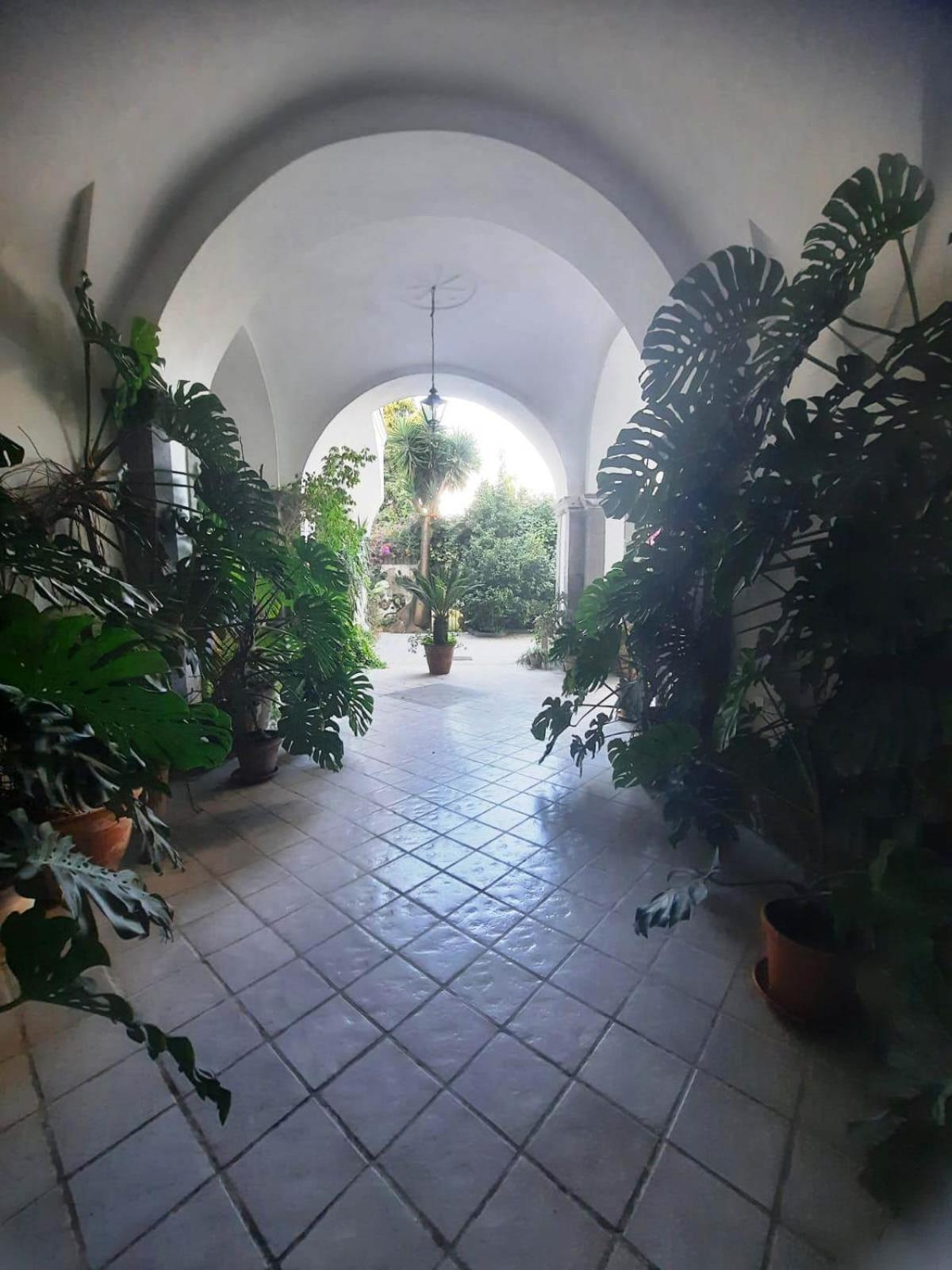 La Casa Delle Camelie Hotel Meta Eksteriør billede